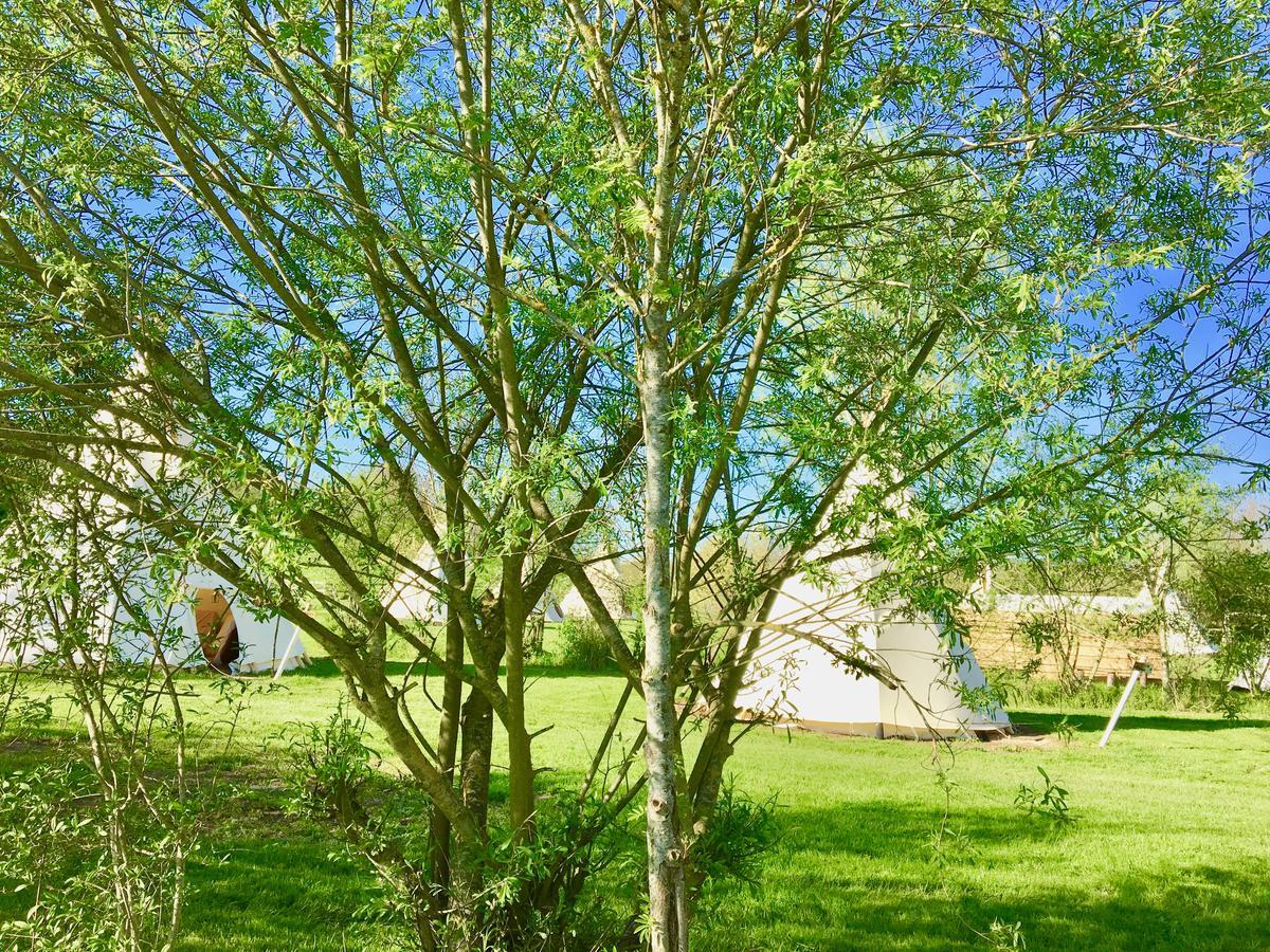 Les Tipis Du Bonheur De Vivre Hotell Brûlon Exteriör bild